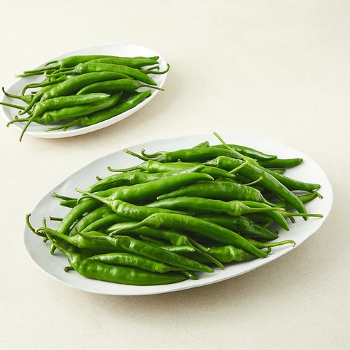 [로켓프레시] 못생겨도 맛있는 청양고추