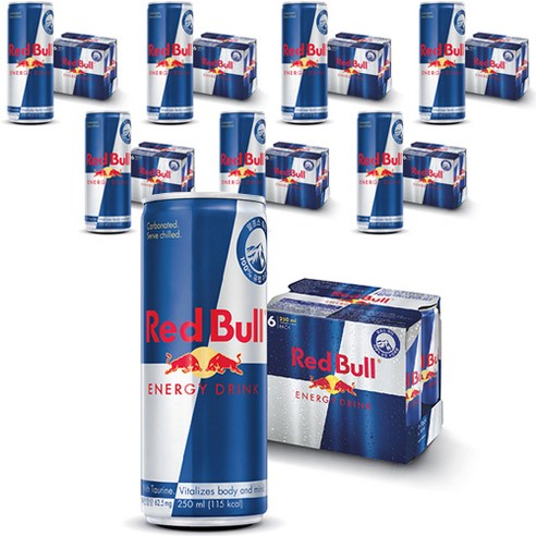 레드불 에너지 드링크, 250ml, 48개