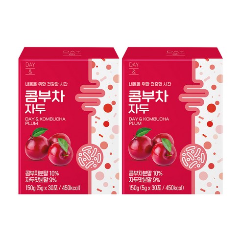 데이앤 콤부차 자두