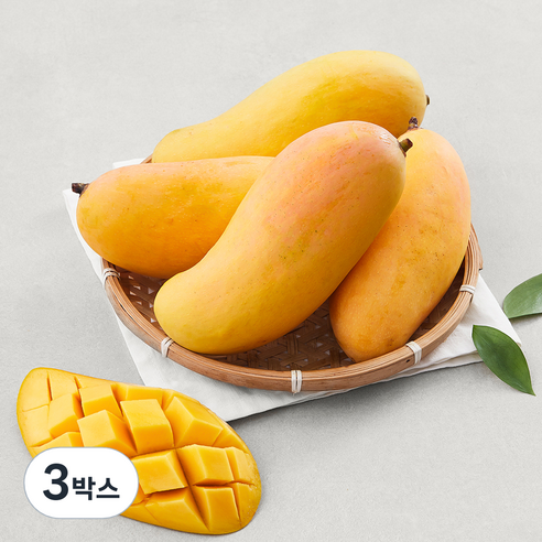 [로켓프레시] 이웃마을 태국 마하차녹 망고