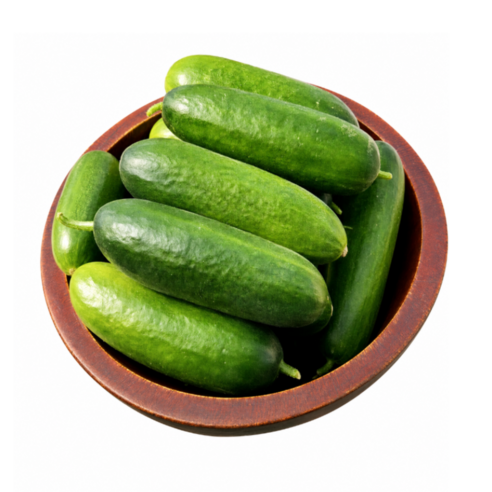 무농약 미니오이 750g 스낵오이 가시오이 피클 오이지, 1박스, 1.5kg(스낵오이)