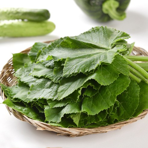 세모농 국내산 생 호박잎 쌈채소 최상품, 1박스, 500g