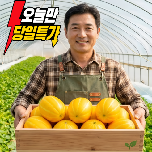 [오늘만초특가] 당도선별 성주 꿀 참외
