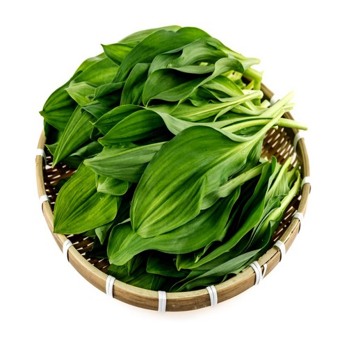 금메달농수산 유명산지 정품 국산 명이나물, 1개, 500g
