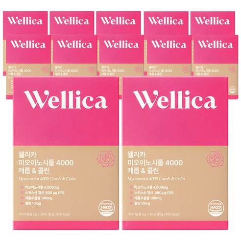 웰리카 프리미엄 미오이노시톨 4000 캐롭 & 콜린, 12개, 150g