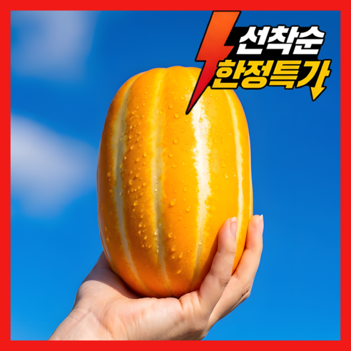 [하루딱!30박스한정] 알이굵은 대왕사이즈 성주 참외
