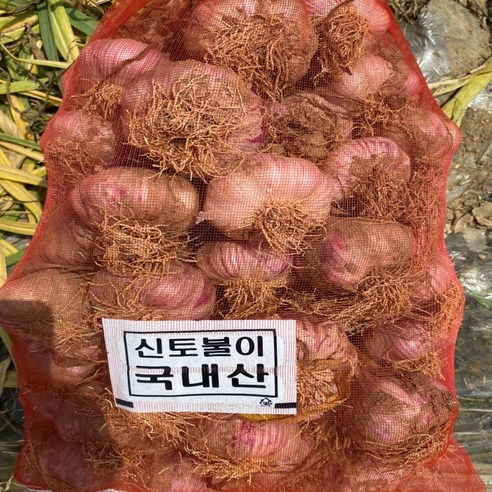 (정품) 노씨고집 고흥 햇 마늘