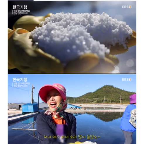 도초소금2025년산