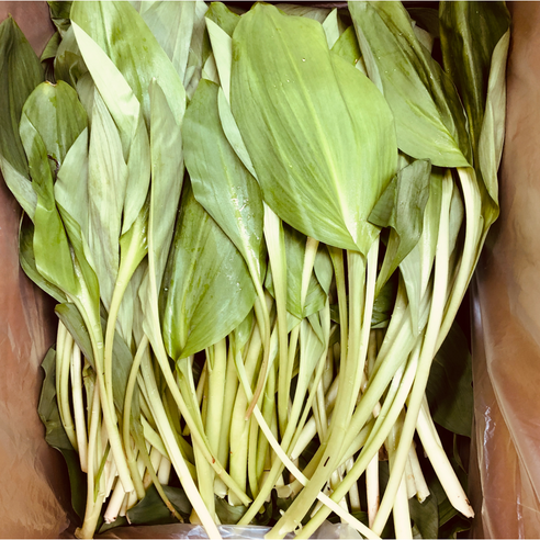 슬기로운장터 생 명이나물 명이잎 산나물 국내산, 2kg, 1개