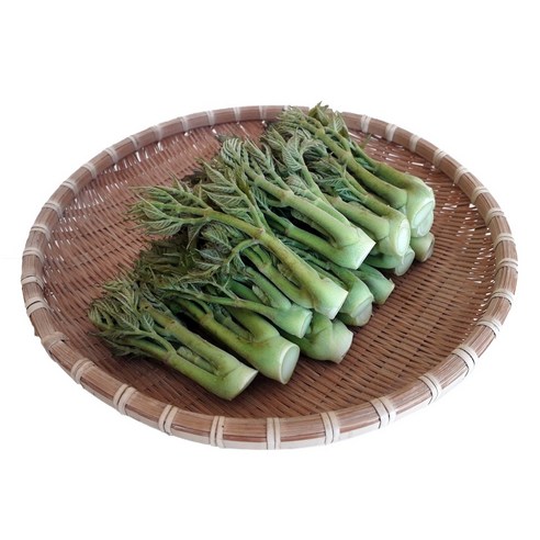 남해 땅두릅 특품 봄 제철 나물 자연산 산지직송, 1kg, 1개