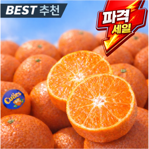 [호텔납품용] 초고당도 미국산 만다린 귤
