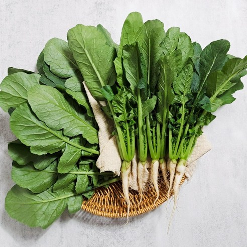 [갓따옴] 어린 열무 | 김치용 | 당일 수확 , 당일 발송, 1개, 어린열무2kg