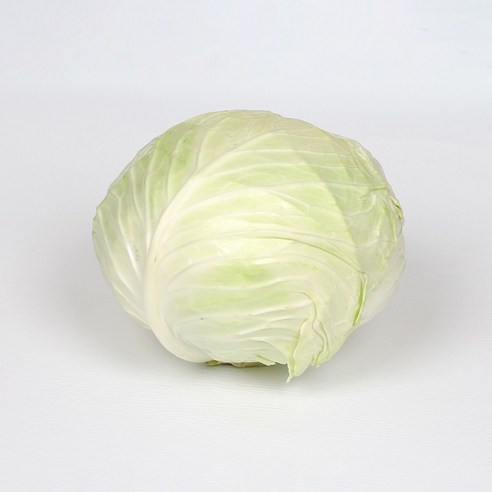 아삭한 국내산 양배추, 2개, 1.5kg