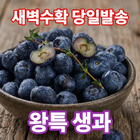 더맛곳간 국산 블루베리 생과 생블루베리 국내산 아침수확 당일발송