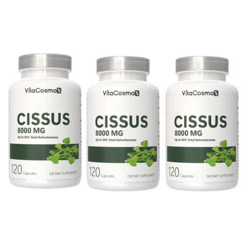 미국 비타코스모 VitaCosmoX 프리미엄 시서스 시서스캡슐 가루 분말 케토스테론 50% Cissus 고함량 고농축 8000mg