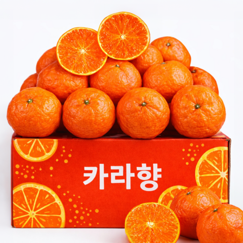 가장 달콤한 로얄과 선별, 제주 카라향