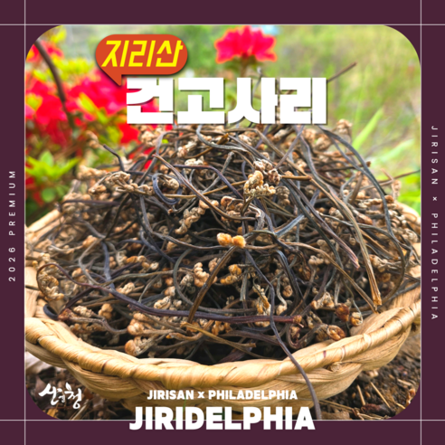 [지리산 산청] 고지대 26년도 자연산 최상급 햇 건고사리 - 3대째 이어온 손맛, 전통 가마솥 방식 800m 이상 고지대에서 채취한 진짜 자연산 직접 꺾고 불에 삶은 정성 그대로, 300g, 1개