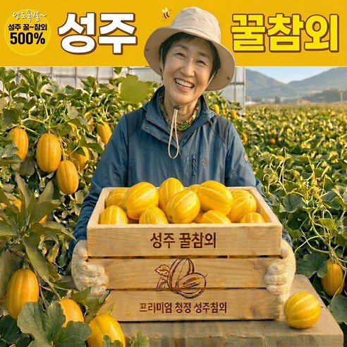 [감동특가] 재구매율1위 아삭/달달한 성주꿀참외
