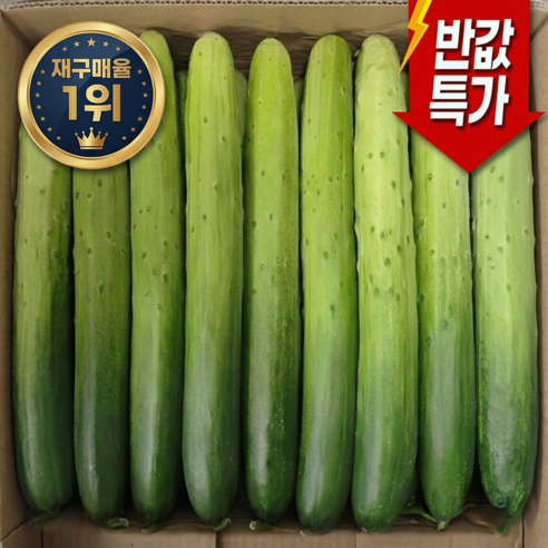 [한정특가]딱300박스만 특품 수분가득 백다다기 백오이