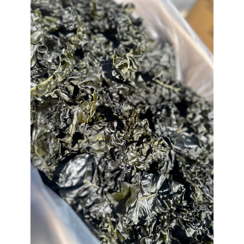 26년 완도 햇미역귀 250g