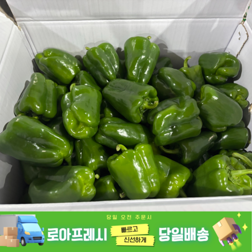 [로아프레시] 당일경매 당일발송 신선한 국산 못난이피망 청피망, 1개, 1kg