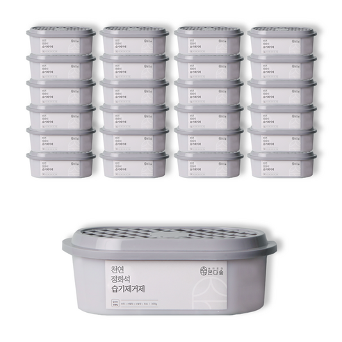 온다숲 반영구 국내산 천연제습제 습기제거제 정화석 탈취까지, 300g, 25개
