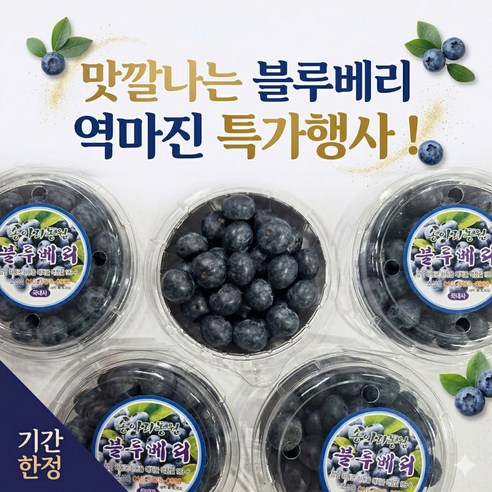 노마진 특가 수입 블루베리 고당도 14~16mm 중대과 대용량 당일출고, 1개, 2팩
