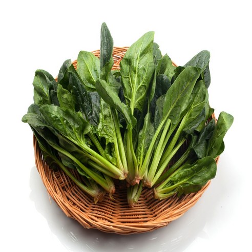 새벽경매 노씨고집 국내산 남해 시금치, 1개, 5kg