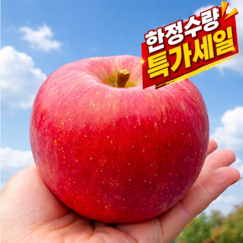 [완판기념특가할인] 고당도꿀 못난이사과 산지직송 극가성비