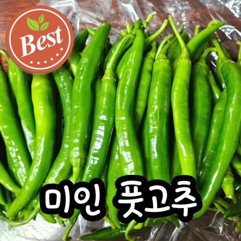 [당일재배] 미인 풋고추 당뇨에 좋은 아삭 미인고추
