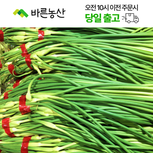 < 바른농산 > 국내산 마늘쫑 마늘종, 1개, 1kg