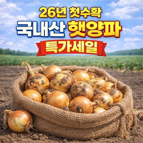 [한정특가] 올해수확 달큰아삭 국내산 햇양파