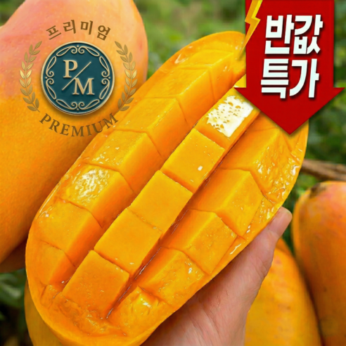 [한정특가] 딱100박스만 초고당도 마하차녹 골드망고, 1박스, 2kg (4-8과)