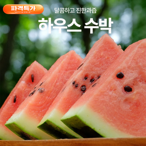 [당도선별] 고당도 하우스 꿀수박 산지직송 당일수확 신선과일 4kg, 1개, 5~6kg내외