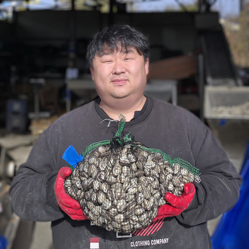 싱싱한 당일 채취 제철 벌교 새꼬막, 1개, 꼬막 2kg(소)