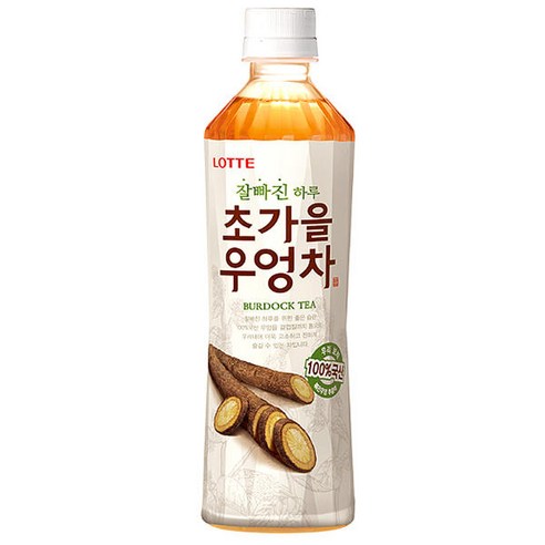 롯데칠성음료 잘빠진하루 초가을우엉차