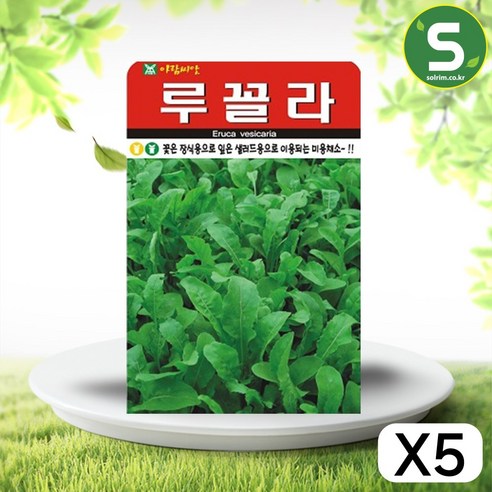 솔림텃밭몰 루꼴라씨앗 2000립 로켓샐러드 루꼴라 미용채소, 5개