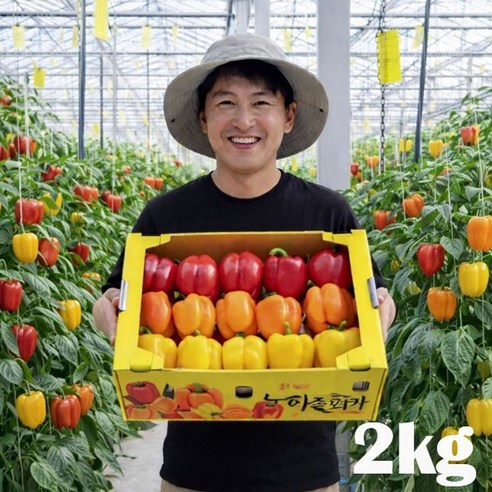 [산지직송] 신선하고 아삭한 맛! 고당도 프리미엄 파프리카, 1박스, 파프리카(색상랜덤) 2kg