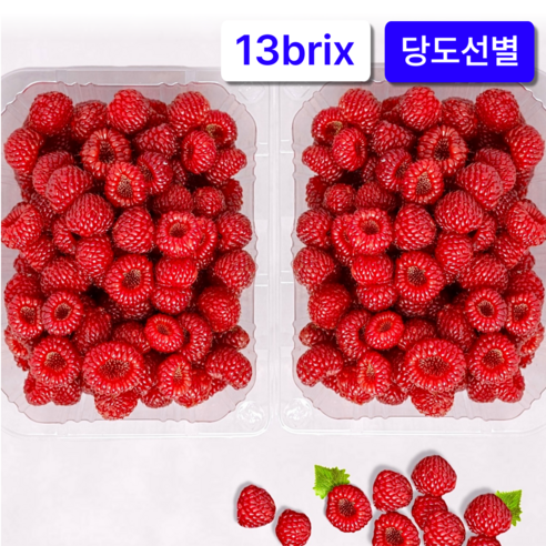 당도선별 제철과일 산딸기 생과