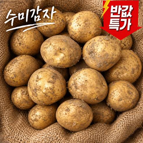 [파격세일]딱100박스만 산지직송 국내산 수미 햇감자