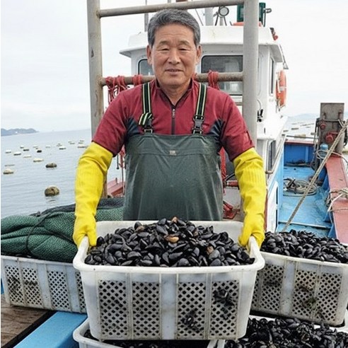 산지직송 경남 통영 자연산 홍합, 2kg
