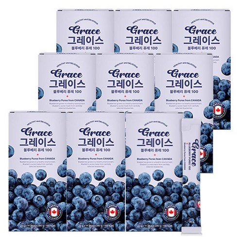 그레이스 블루베리 퓨레 100