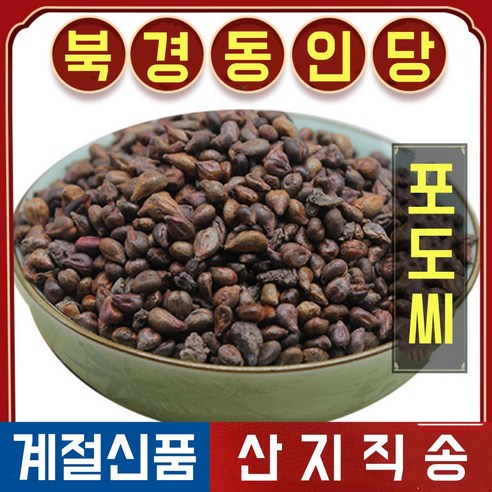 북경 동인당 포도씨