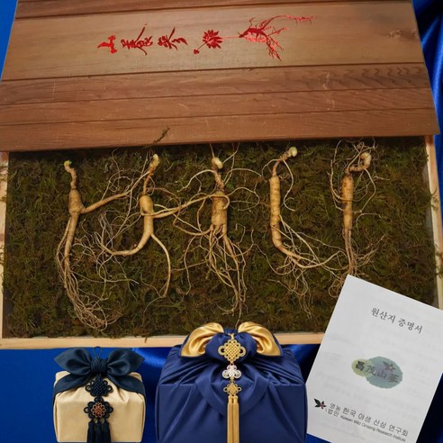 창무 강원도 횡성 야생 방치삼 자연산 산양삼 10년~20년 산삼, 5개, 20g