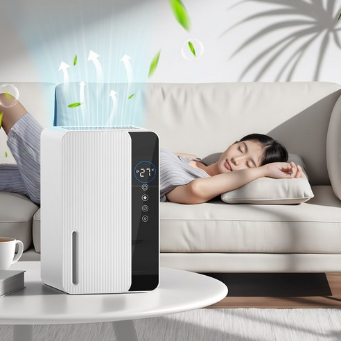 저소음 스마트 제습기 건조기 LED 무드등 4계절겸용 가정용