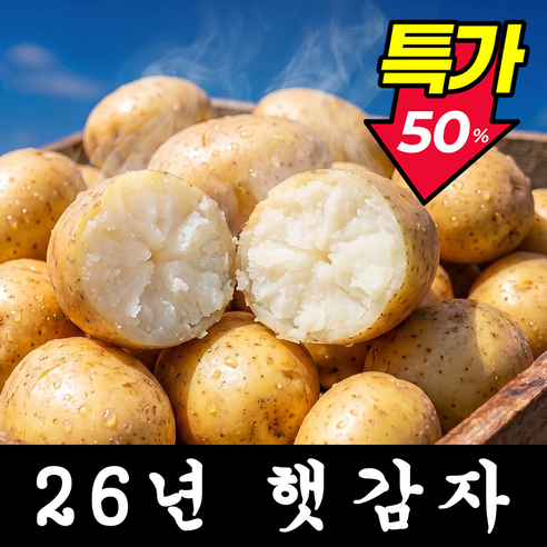 [첫출하기념]딱100박스만 포슬달달 햇감자 국내산 감자