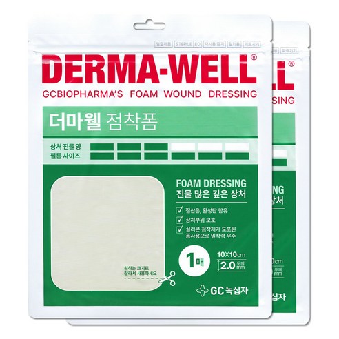 GC녹십자 더마웰 점착폼 진물 많은 깊은 상처, 2개