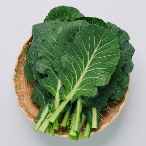 친환경 무농약 유기농 녹즙재료 녹즙 주스용 케일, 1박스, 2kg