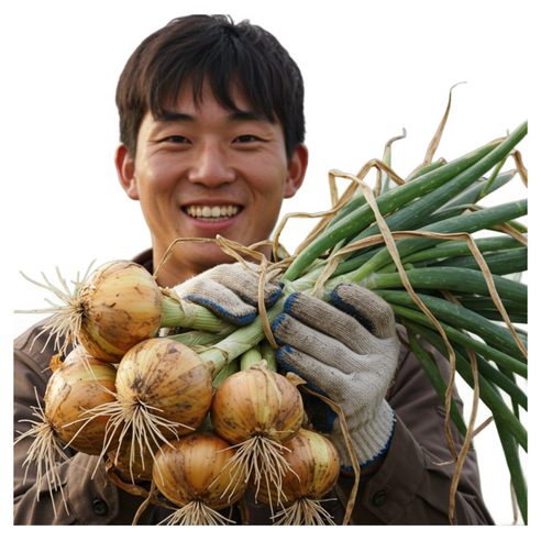 더좋은 무안 양파, 1개, 4kg(특)