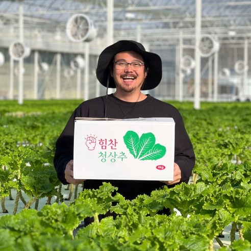 [농가직영] 당일수확 가락시장 1등 국내산 청상추 로메인 상추, 4kg, 1개